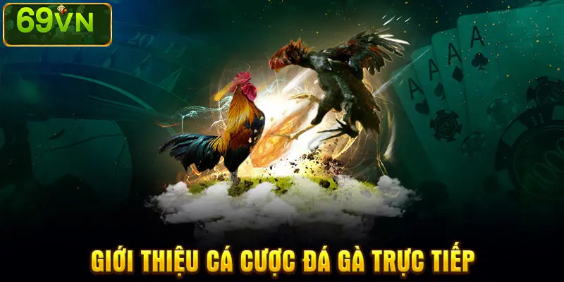 GIỚI THIỆU CÁ CƯỢC ĐÁ GÀ TRỰC TIẾP