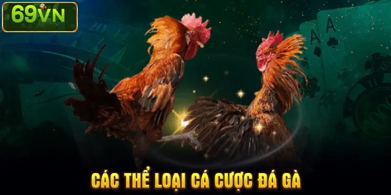 CÁC THỂ LOẠI CÁ CƯỢC ĐÁ GÀ