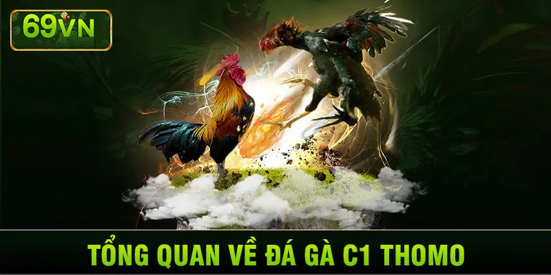 TỔNG QUAN VỀ ĐÁ GÀ C1 THOMO