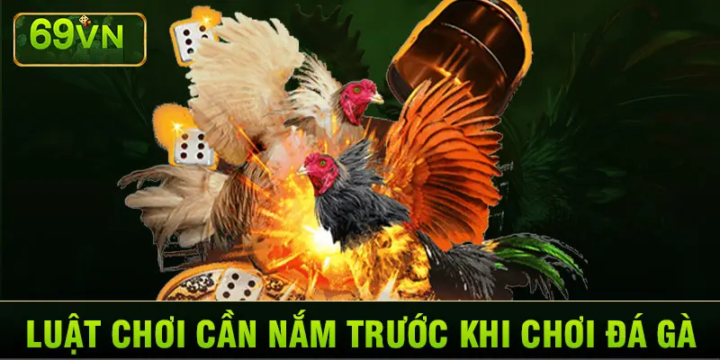 LUẬT CHƠI CẦN NẮM TRƯỚC KHI CHƠI ĐÁ GÀ