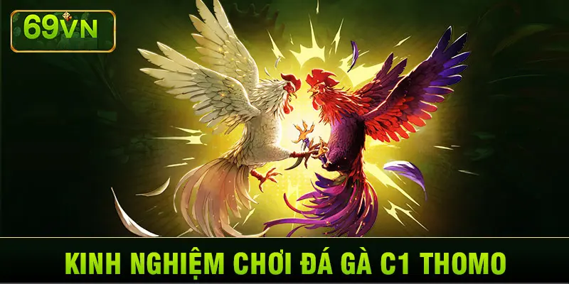 Đá gà C1 Thomo 69VN – Sàn Đấu Của Những Chiến Binh Dũng Mãnh