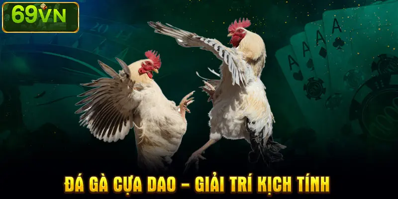 ĐÁ GÀ CỰA DAO – GIẢI TRÍ KỊCH TÍNH