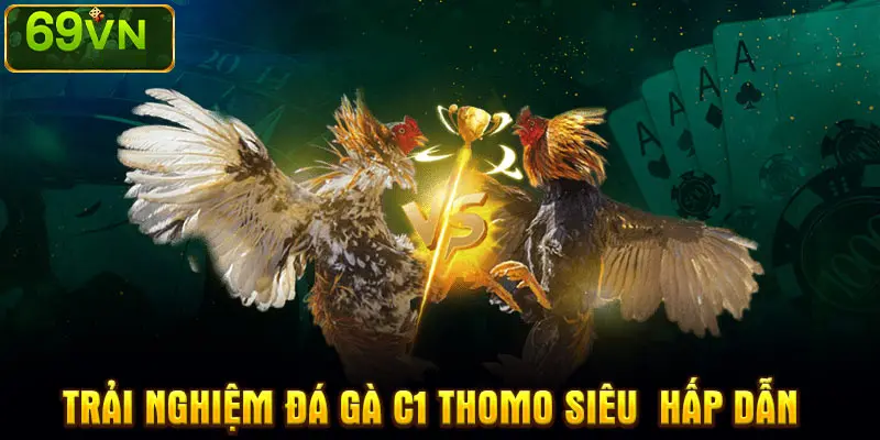 TRẢI NGHIỆM ĐÁ GÀ C1 THOMO SIÊU  HẤP DẪN